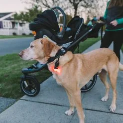 Gear Aid Carabiner Light Kit -Caravan Sales Store 80710 2