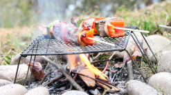 Vargo Titanium Bi Fold Grill -Caravan Sales Store T 488